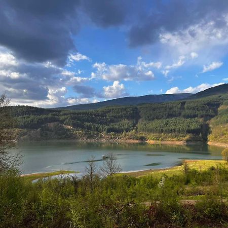 Zavojsko Jezero - Vila Jezero Pirot Dış mekan fotoğraf