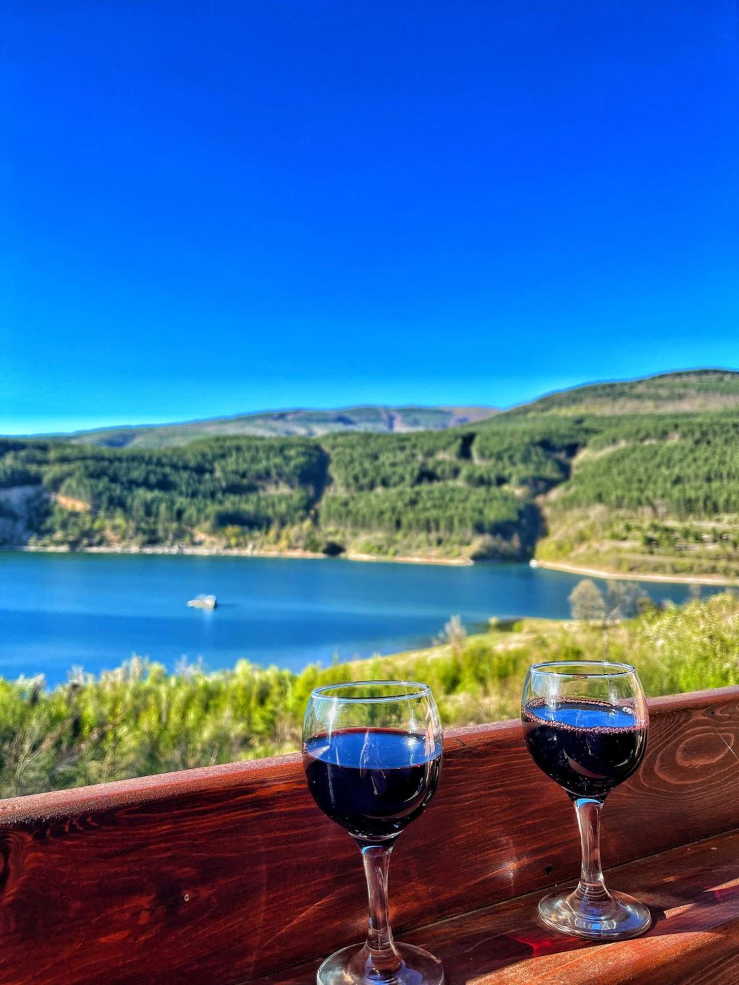 Zavojsko Jezero - Vila Jezero Pirot Dış mekan fotoğraf